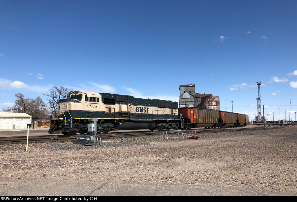 BNSF 9828